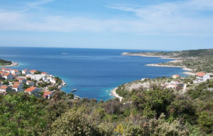 kanica
